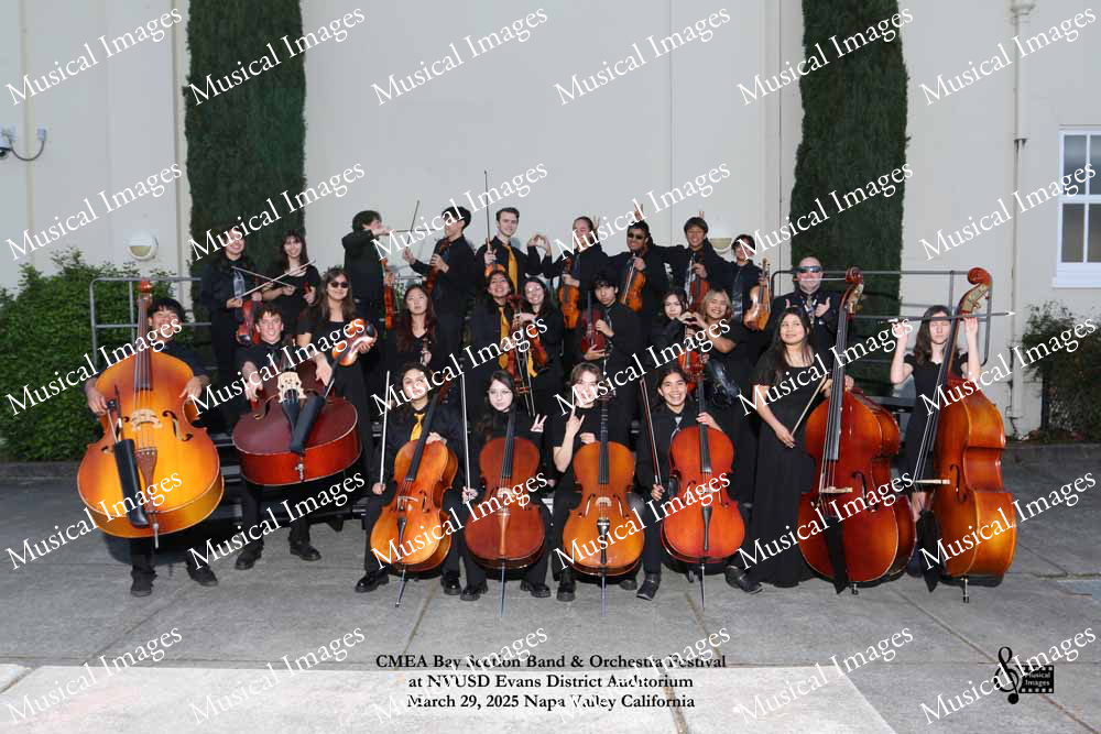 Musical Images